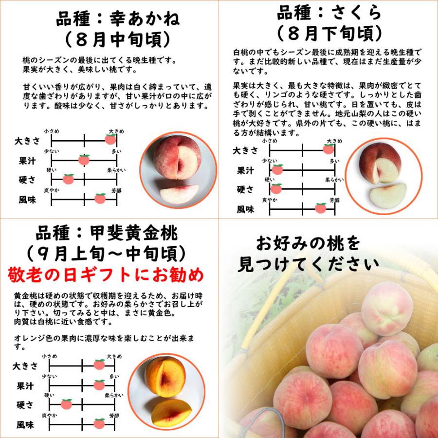 桃 山梨 お中元 ギフト 3kg 8〜12個 特秀 白鳳 白桃 甲斐 黄金桃 送料