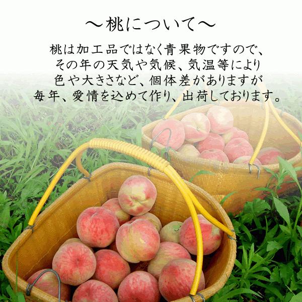 桃 山梨 お中元 ギフト 3kg 8〜12個 特秀 白鳳 白桃 甲斐 黄金桃 送料