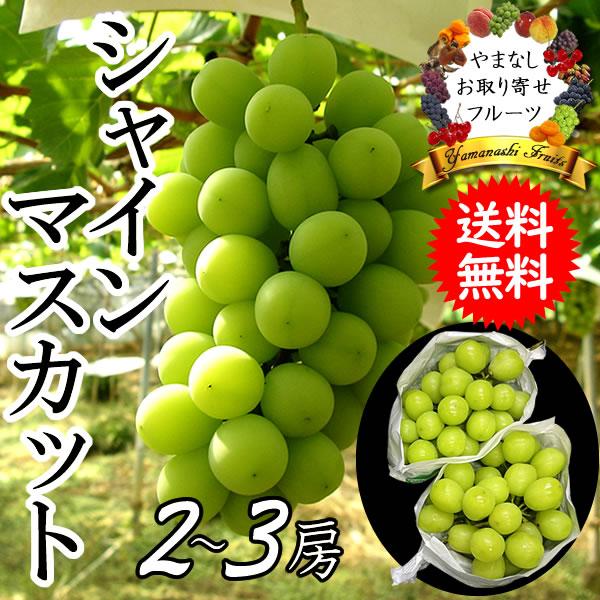 シャインマスカット ぶどう 山梨県産 1.2kg 2〜3房入り 贈答用 ギフト