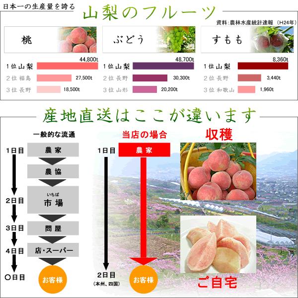 山梨3種詰合せセット　（もも、プラム、ぶどう）約3ｋｇ ギフト 山梨産 ぶどう 3種お任せ詰合せ 4kg 送料無料※一部を