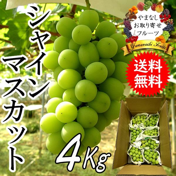 5️⃣ 山梨県産 シャインマスカット ８房入り 箱込4.4キロ シャインマスカット ぶどう 山梨県産 4kg 5〜8房入り 贈答用 フルーツ