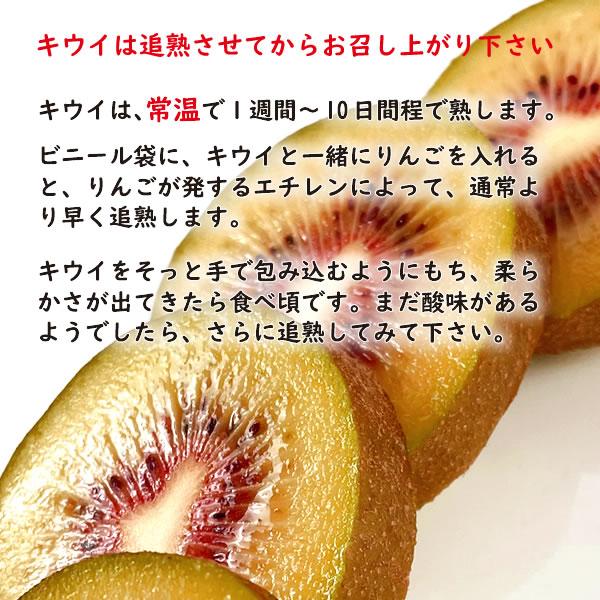 キウイ レインボーレッドと同種 レッドキウイ 山梨県産 1.8kg〜2kg 15