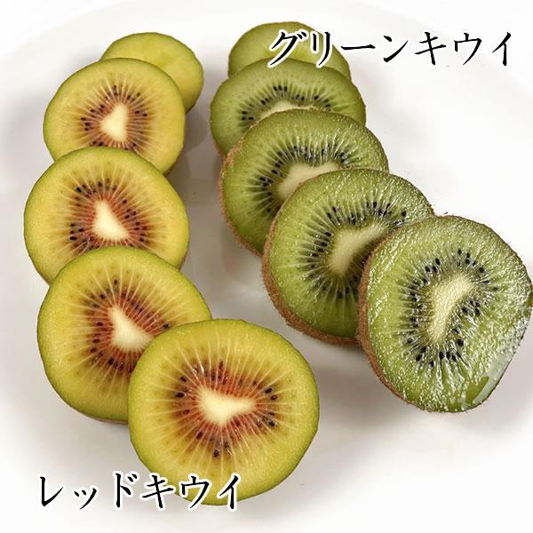 キウイ レインボーレッドと同種 レッドキウイ 山梨県産 1.8kg〜2kg 15