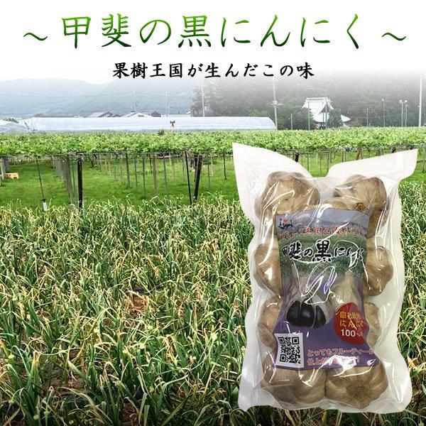 黒にんにく 山梨 国産 ニンニク 300g 生活習慣病 予防 免疫力 疲労回復 血液 サラサラ 糖尿病 花粉症 アレルギー 冷え性 風邪 血糖値 高血圧 Garlic300 山梨お取り寄せフルーツ 通販 Yahoo ショッピング