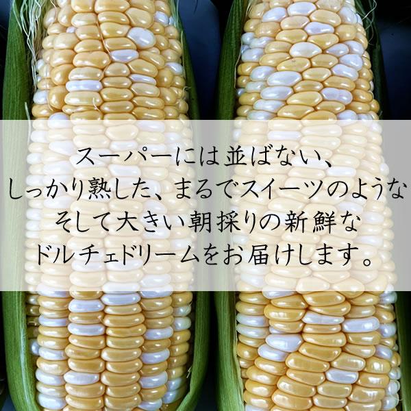 とうもろこし ドルチェドリーム 甘い スイートコーン 山梨県産 5kg 12