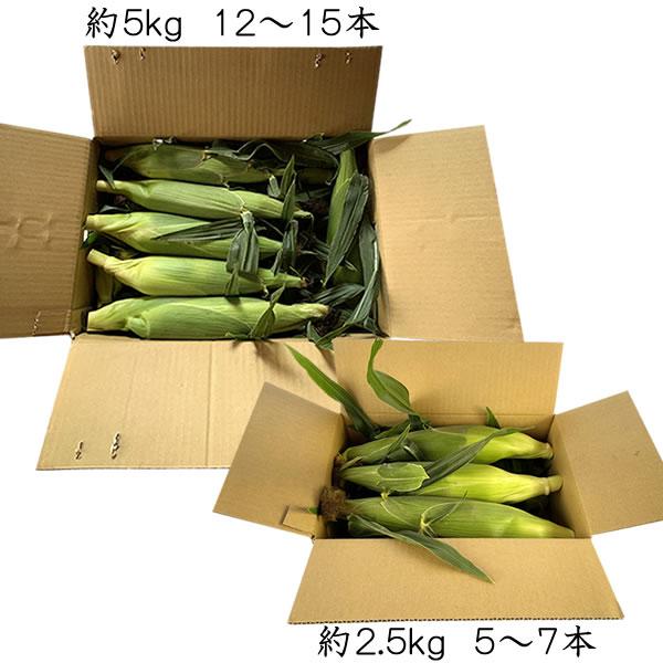 父の日 お中元 甘々娘 とうもろこし かんかん娘 スイートコーン 山梨県