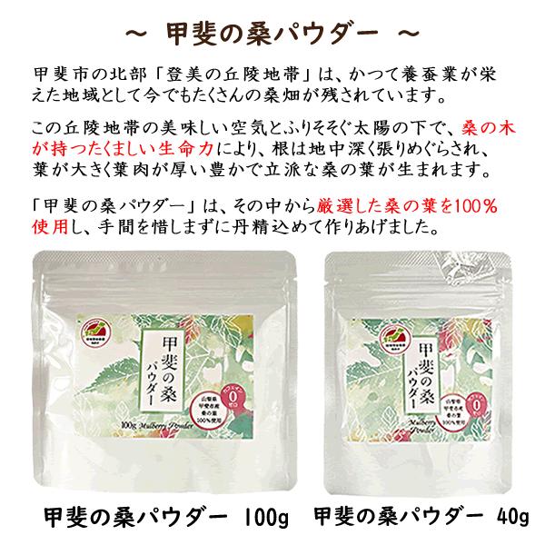桑の葉茶 粉末 桑の葉パウダー 山梨産 100％ 甲斐の桑の葉 100g 効能