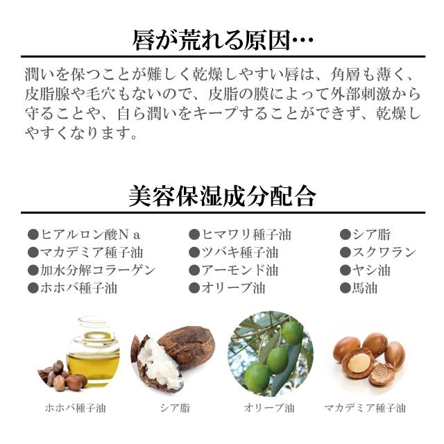 メンズ リップクリーム BRO. FOR MEN　Lip Balm （無色）　　男性用 リップバーム 保湿 潤い 唇 化粧品 シェモア |  | 03