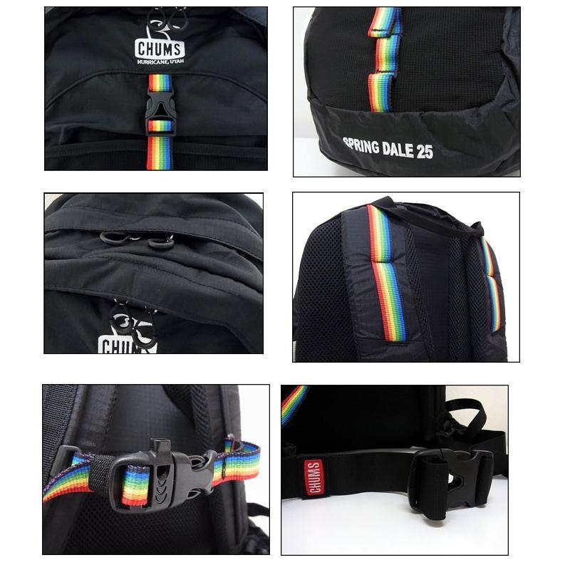 CHUMS（チャムス） CHUMS SPRING DALE 25 CH60-3997 リュック : JERRYS