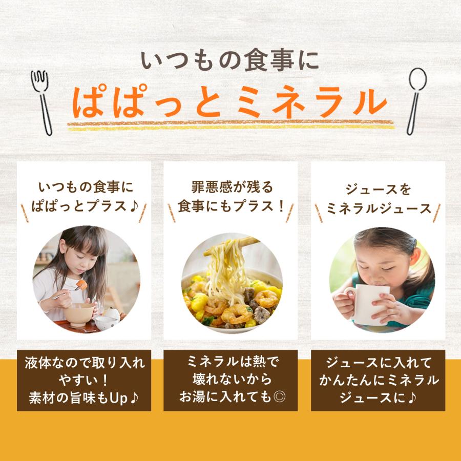 料理用 ぱぱっと ミネラル 希望の命水 元：希望の命水10倍濃縮液｜jes-mineral-honpo｜16