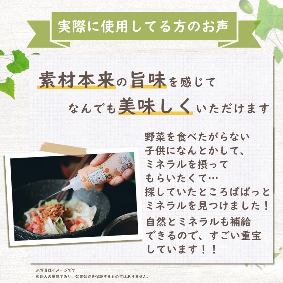 料理用 ぱぱっと ミネラル 希望の命水 元:希望の命水10倍濃縮液 料理用 ぱぱっと ミネラル 希望の命水 元:希望の命水10倍濃縮液