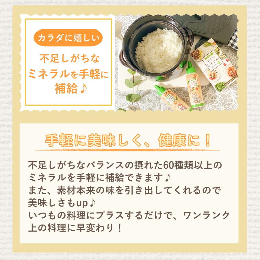 料理用 ぱぱっと ミネラル 希望の命水 元：希望の命水10倍濃縮液｜jes-mineral-honpo｜08