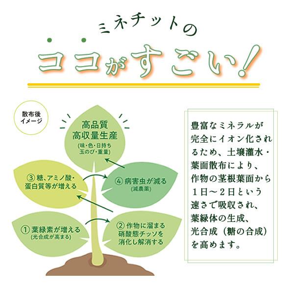 ミネチット 10L 液体肥料 家庭菜園の肥料 有機JAS