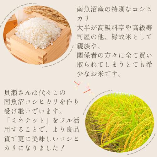 ミネチット 10L 液体肥料 家庭菜園の肥料 有機JAS