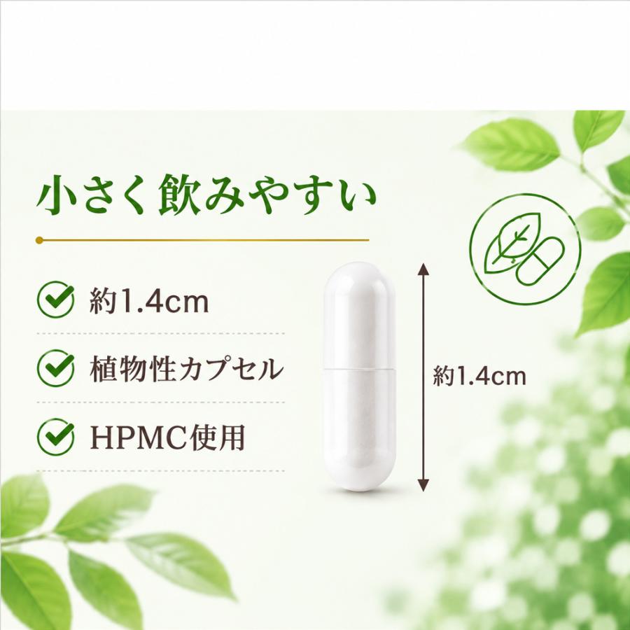 アサイゲルマニウムS（80粒） : ミネラル本舗 - 通販 - Yahoo