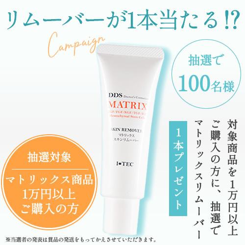 マトリックス 専用 エキス リップ用 唇荒れ DDS MATRIX 8g