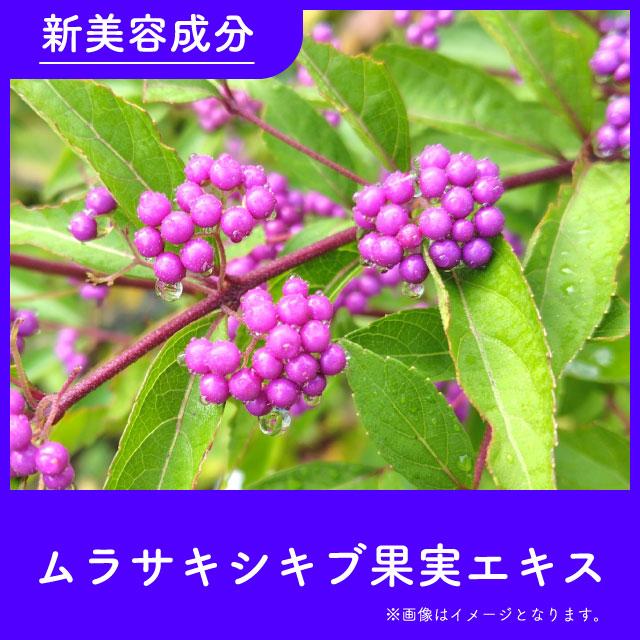 美白】薬用美白ローション[医薬部外品] Culubell(クリューベル