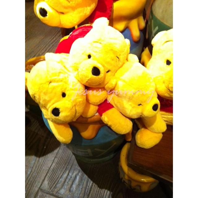 東京ディズニーリゾート限定】くまのプーさん(Pooh) ぬいぐるみ 東京ディズニーリゾート限定】くまのプーさん(Pooh) ぬいぐるみ