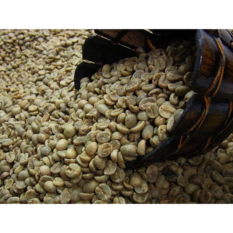 コーヒー生豆】ホンジュラスHG 5kg ※送料無料！ コーヒー生豆