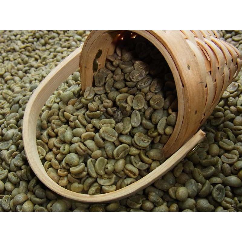 生豆 コーヒー コスタリカ ジャガーハニー(2kg) : コーヒー白豆屋