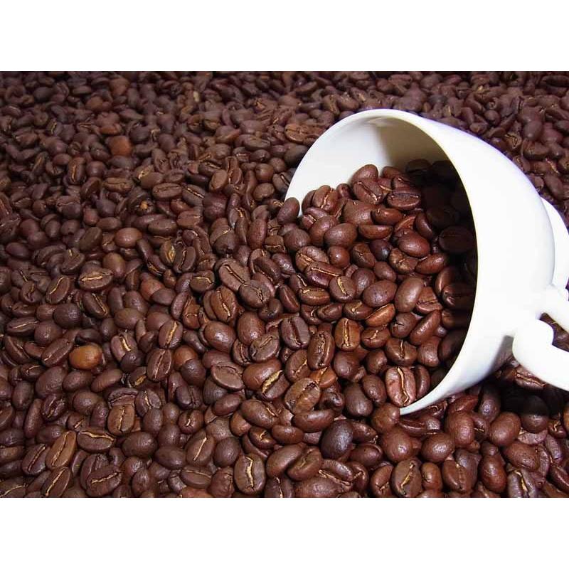 自家焙煎 コスタリカ ジャガーハニー（400g） : コーヒー白