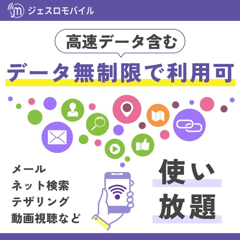 アメリカeSIM 13カ月 留学プラン【ジェスロモバイル】データ無制限 3GBまで高速 通話し放題 ハワイ含む プリペイドSIM T-mobile回線｜jethromobile｜07