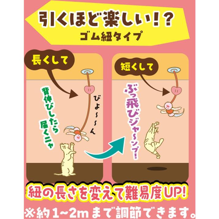 ドギーマン 【お取り寄せ】ドギーマンハヤシ じゃれ猫 天井ぶらぶら