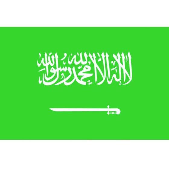お取り寄せ】東京製旗 国旗No.2(90×135cm) サウジアラビア 426302
