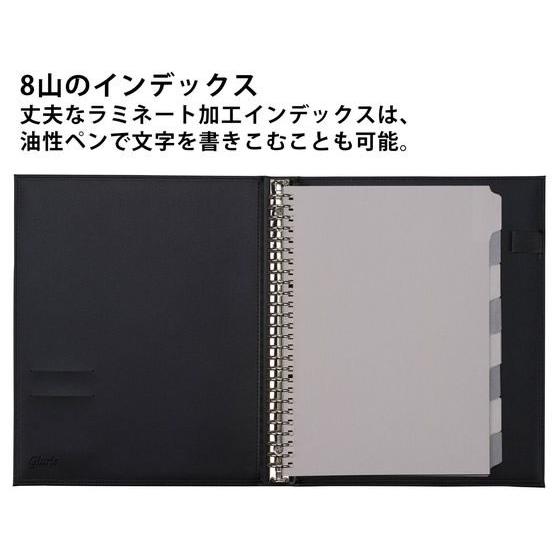 maruman（マルマン） ルーズリーフ バインダー B5 ジウリス 26穴