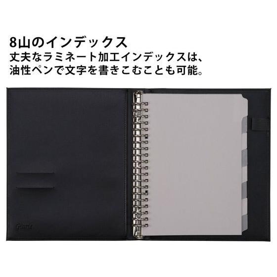 maruman（マルマン） ルーズリーフ バインダー A5 ジウリス 20穴
