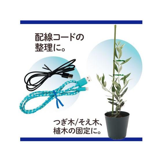 PLUS（プラス） ねじりっこ カッター付 グリーン TF-800 82635