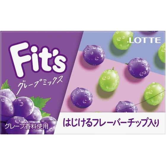ロッテ（LOTTE） Fits グレープミックス 12枚 板ガム チューイングガム