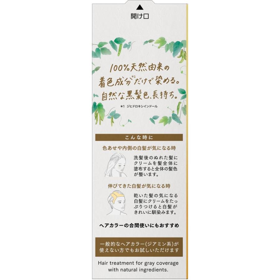 ブローネ KAO リライズ ナチュリラ カラートリートメント ナチュラル