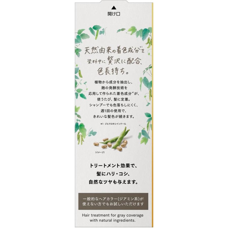 ブローネ KAO リライズ ナチュリラ カラートリートメント アッシュ