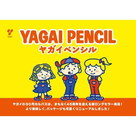 ヤガイ ペンシルカルパス 20本入 BOX おつまみ 珍味 煎餅 おかき お