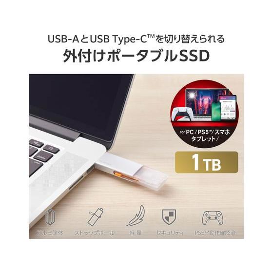 ELECOM（エレコム） 外付SSD 1TB Type-C&A シルバー ESD-EWC1000GSV