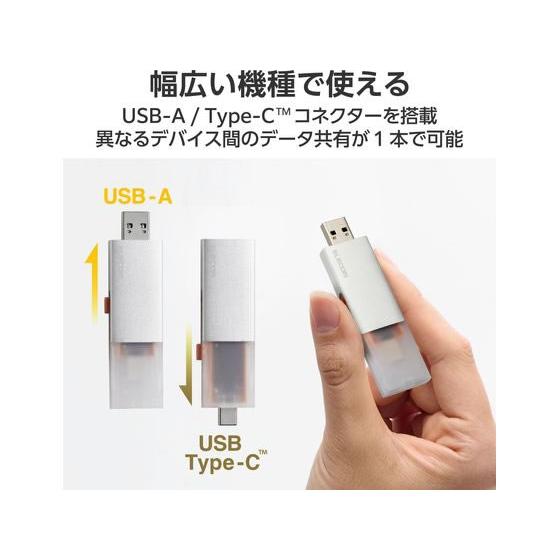 ELECOM（エレコム） 外付SSD 1TB Type-C&A シルバー ESD-EWC1000GSV