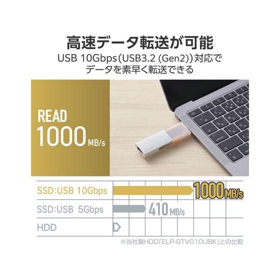 ELECOM（エレコム） 外付SSD 1TB Type-C&A シルバー ESD-EWC1000GSV