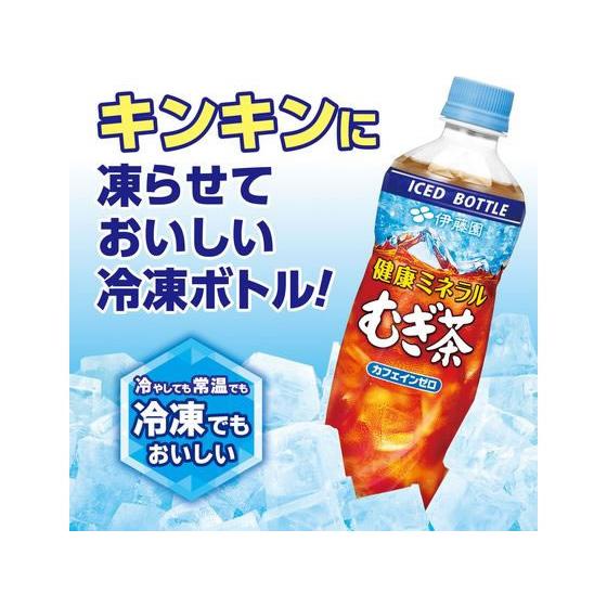 健康ミネラルむぎ茶 伊藤園 冷凍兼用ボトル 485mL×24本 : JetPrice