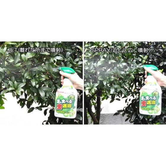 アースガーデン 【お取り寄せ】アース製薬 葉を食べる虫退治 1000mL