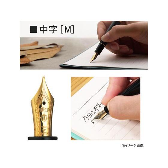 セーラー万年筆 【お取り寄せ】セーラー 万年筆 プロフィット
