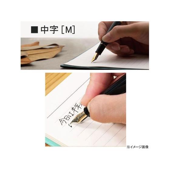 セーラー万年筆 【お取り寄せ】セーラー 万年筆 プロフィット