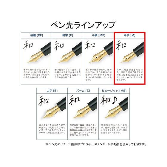 セーラー万年筆 【お取り寄せ】セーラー 万年筆 プロフィット