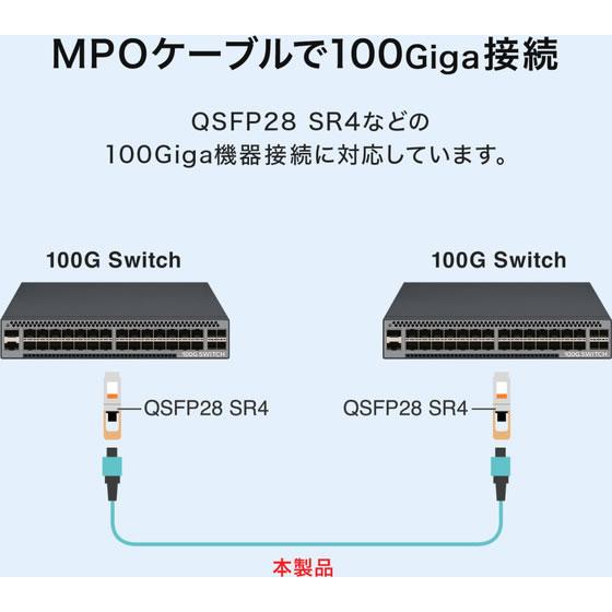 【お取り寄せ】サンワサプライ MPO光ファイバケーブル OM4 12芯 B配線 3m HKB-MPO12M4B-03 ネットワーク機器 パソコン 家電_6