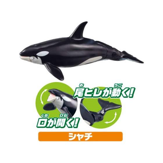 【お取り寄せ】タカラトミー アニア AA-02 水族館の人気者セット｜jetprice｜03