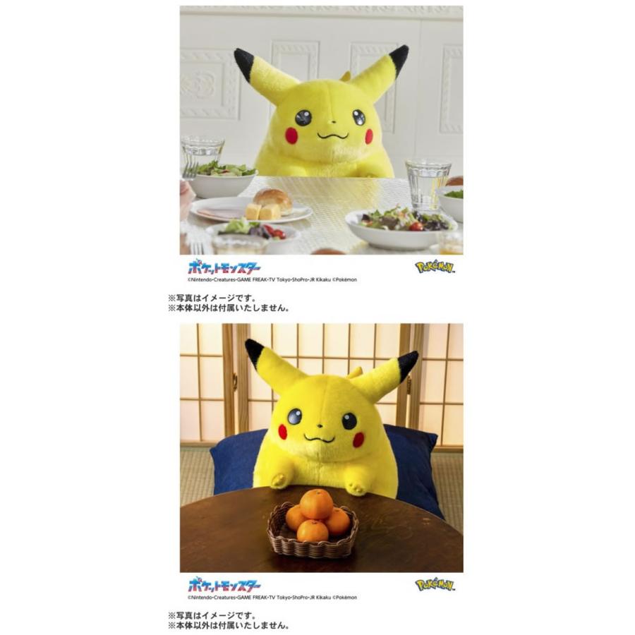 タカラトミー ポケモン30周年記念 おかえり!ピカチュウ 1／1 ポケモン