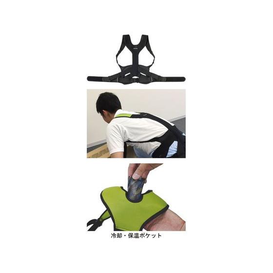 ダイヤ工業 DARWING SATT L 介護用品 Diya（ダイヤ） 【お取り寄せ】ダイヤ工業 DARWING SATT(ダーウィン