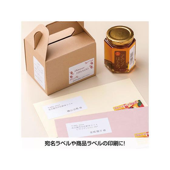 ヒサゴ/エコノミーラベル A4 10面 余白なし 100枚/ELM026|jetprice|05