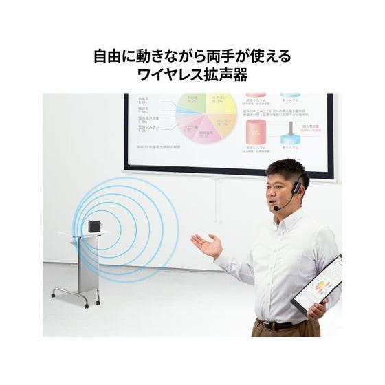 SANWA SUPPLY（サンワサプライ） 【お取り寄せ】サンワサプライ