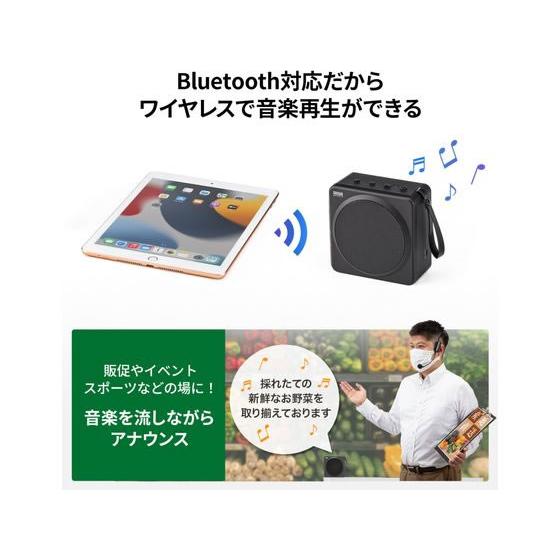 SANWA SUPPLY（サンワサプライ） 【お取り寄せ】サンワサプライ